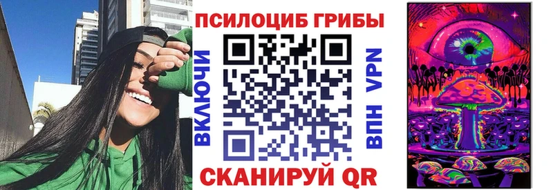 Псилоцибиновые грибы Psilocybe  Стрежевой 